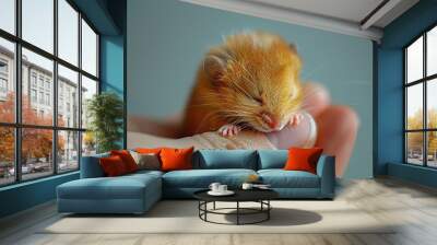 Tiny Mouse Sleeping in Hand Wall mural