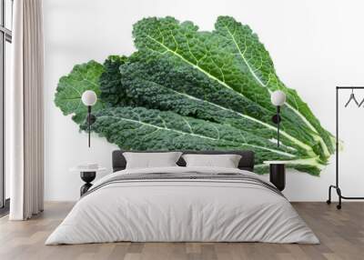 black kale, italian kale, tuscan kale, lacinato, dinosaur on white background Wall mural