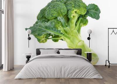 Broccoli isolated on white background Wall mural