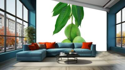 green mango on white background Wall mural