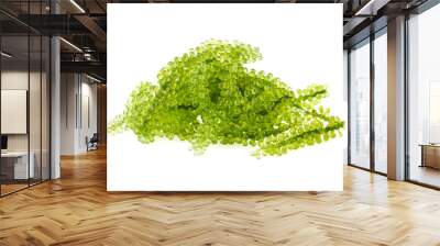 Umi-budou, grapes seaweed or green caviar isolated on white background Wall mural