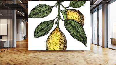 Food Woodcut. Lemon Botanical Illustration with Fresh Citrous Fruit on Branch Wall mural