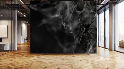 Halloween Spider Web Corner. Real Creepy Spider's Webs Hanging on Black Banner with Tarantula for Scary Background Wall mural