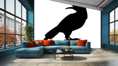 Crow vector illustration  black silhouette Wall mural