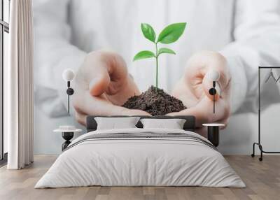 Hands holding a young green plant in soil, symbolizing growth and new beginnings Wall mural