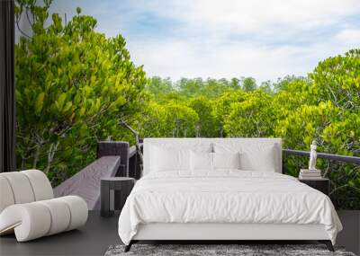 Wood boardwalk between Mangrove forest and blue sky ,Study natural trails,aerial view Wall mural