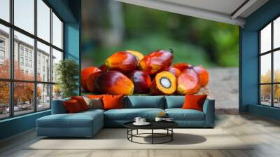 Palm Oil fruit of vegetable oil on old wooden floor. Wall mural