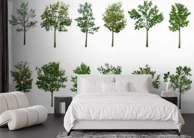 Collection Tree isolated on white background Wall mural