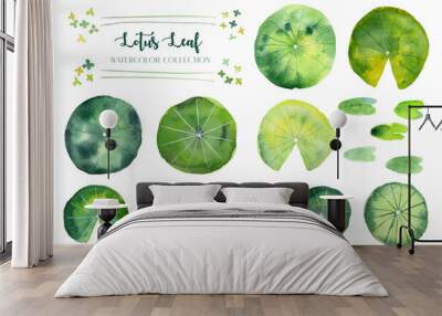 Lotus leaf and duckweed watercolor collection.  Wall mural