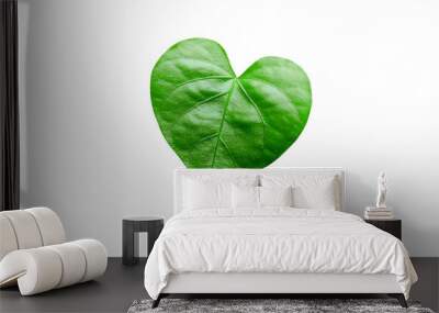 Green leaf in a heart shape Wall mural