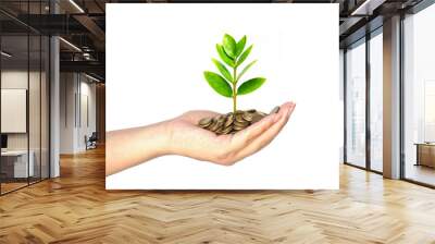 hand holding a young tree growing on coins Wall mural