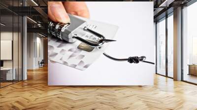 security lock with password and fish hooks on credit cards Wall mural