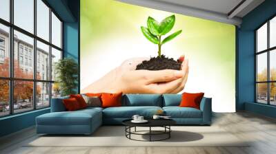 two hands holding and caring a young green plant Wall mural