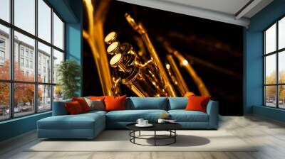 Classic musical cornet  Wall mural