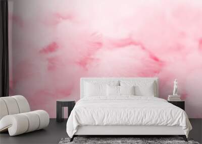 Beautiful abstract light pink feathers on white background,  white feather frame on pink texture pattern and pink background, love theme wallpaper and valentines day, white gradient Wall mural