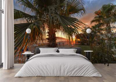 Sunset on the beach. Paradise beach. Tropical paradise, white sand, beach, palm trees and clear water Wall mural