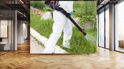 Pest control worker spraying insecticide Wall mural