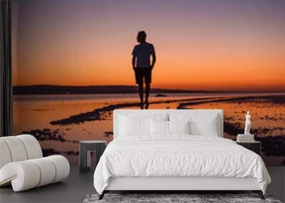 Silhouette of traveller standing at salt lake over sunset Wall mural