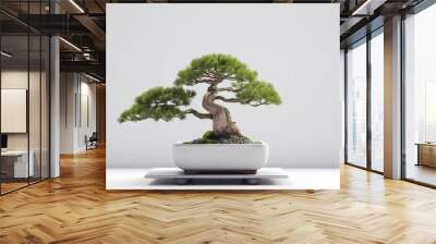 a bonsai tree with white background. Negative space. Free space for text. Generative AI Wall mural