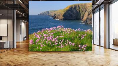 Sea Pinks on coast at Cwm Deri Moylegrove Wall mural