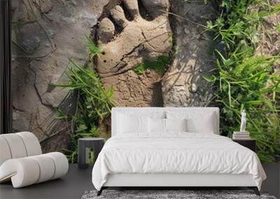 Footprint that crushed the grass Wall mural