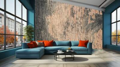 Old Wood Texture Wall mural