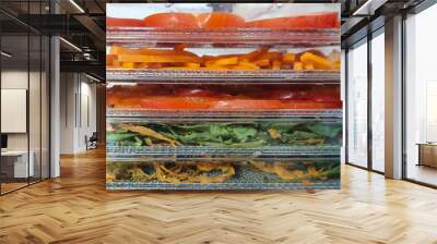 Vegetables are designed to be dried in a dehydrator Wall mural