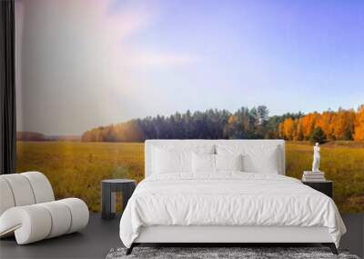 Wide panorama autumn landscape shot of a orange field meadow with colorful trees and blue sky, Sun rays in autumn Wall mural