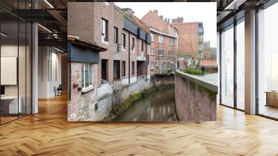 Leuven, Flemish Brabant, Belgium - 12 18 2021: Rear sides of residential houses and the river Dyle Wall mural