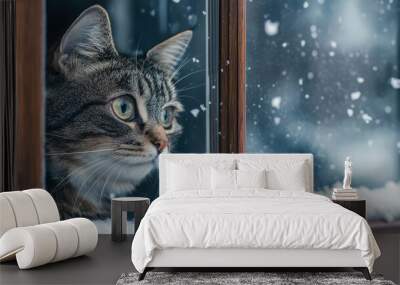 A tabby cat looks out the window, observing the snowy landscape outside. The contrast of the cat's warm, cozy environment to the cold, white snow creates a scene of comfort and curiosity. Wall mural