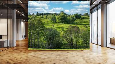 view of green fields and meadow with blue cloudy sky Wall mural