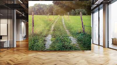 Beaten track through meadow with rays of ligh Wall mural