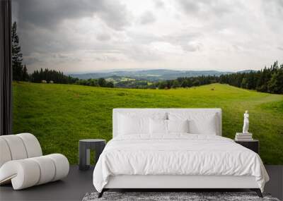 grass and white cloudy sky, natural panorama Wall mural