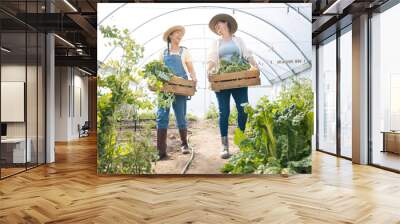 Greenhouse, happy women together with box of vegetables and sustainable small business and garden agriculture. Friends working at farm, smile and growth in summer with organic agro food employees. Wall mural