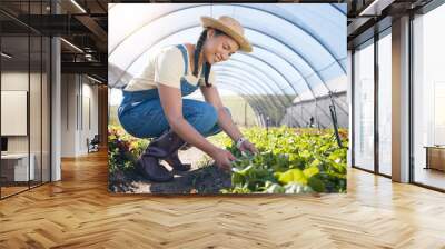 Plants, agriculture and woman farming in a greenhouse for health and sustainability. Young person with leaves for eco lifestyle, agro business or organic food and gardening for wellness and growth Wall mural