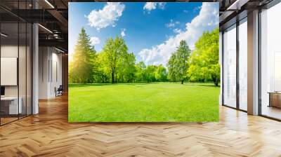 Beautiful landscape with grass, trees, mountains and blue sky. Wall mural