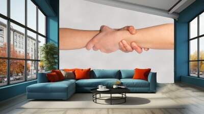 Two hands concept. Hands holding each other on the outstretched arm. Close up isolated arm, hand. Gestures of help, rescue or handshake between people, friends, partners or colleagues. Wall mural