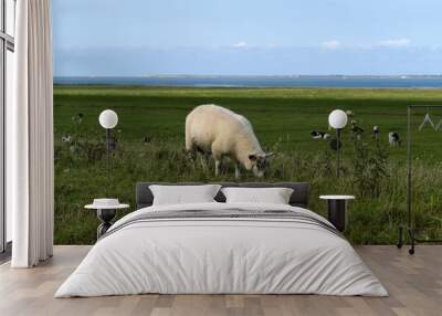 Schaf auf Deich an der Nordseeküste mit Blick auf Deichvorland mit Kühen und Wattenmeer - Stockfoto Wall mural