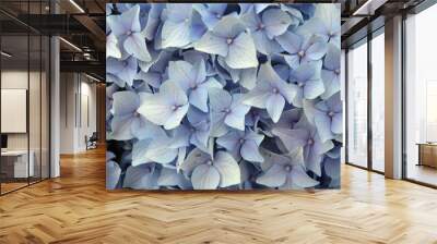 bouquet of pretty blue flowers Wall mural