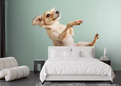 A dog is in the air, jumping and looking up Wall mural