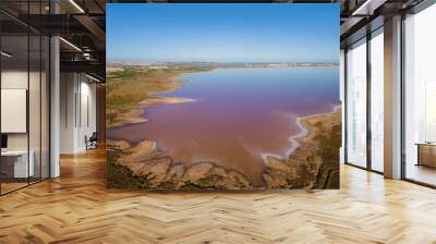 Aerial view of the salt lagoon of Torrevieja with the protected shore areas. The blue Mediterranean is on the horizon. The city of Montesinos can be seen on the left. Wall mural