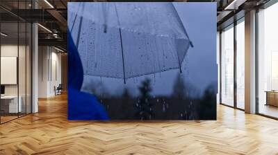 Closeup of man with blue raincoat holding umbrella and standing in rain Wall mural