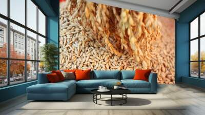 Closeup of wheat grains falling, the process of harvesting organic crops Wall mural