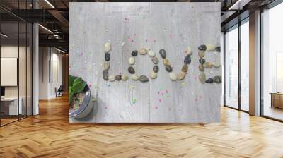 Word love spelled with pebbles and green potted plant on wooden background, top view Wall mural