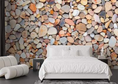 A close-up shot of a variety of smooth stones in various shades of brown, gray, pink, and white. Wall mural