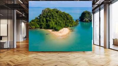 Aerial drone view of an exotic, tiny tropical island with sandy beach and jungle Wall mural