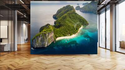 Aerial drone view of Dilumacad (Helicopter) Island in El Nido, Palawan, Philippines Wall mural