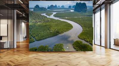 Aerial view of a huge natural mangrove forest with towering limestone cliffs (Phang Nga, Thailand) Wall mural