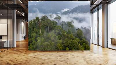 Aerial view of mist, cloud and fog hanging over a lush tropical rainforest after a storm Wall mural