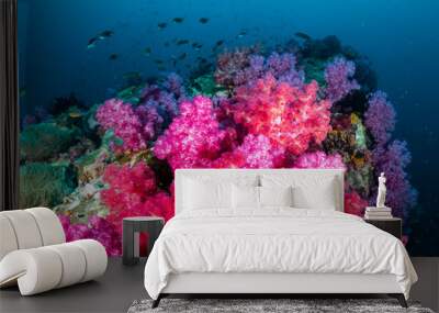 Beautiful, colorful but delicate soft corals on a tropical coral reef in Asia Wall mural